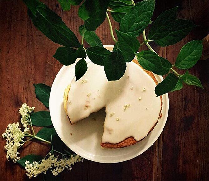 An elderflower cake