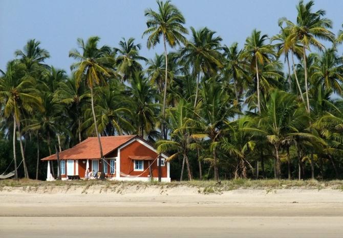 A new life in goa