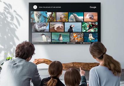 sony af8 google assistant