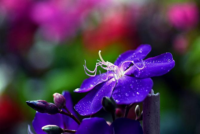 Rare Pix Of Nature S Beautiful Creations Rediff Com Get Ahead