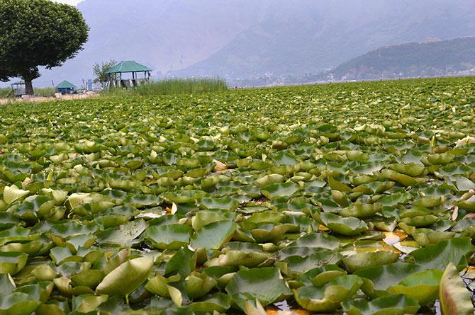 Trip to Kashmir