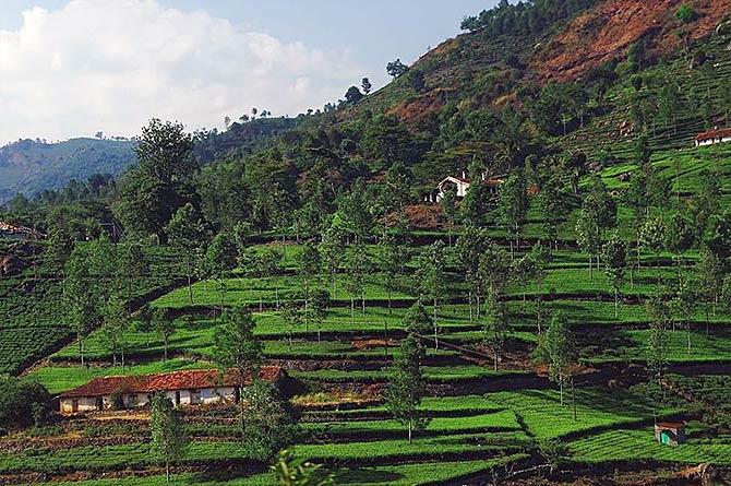 Kothagiri