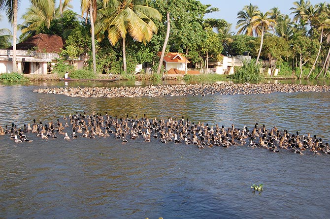 Kerala pix by Satish Bodas