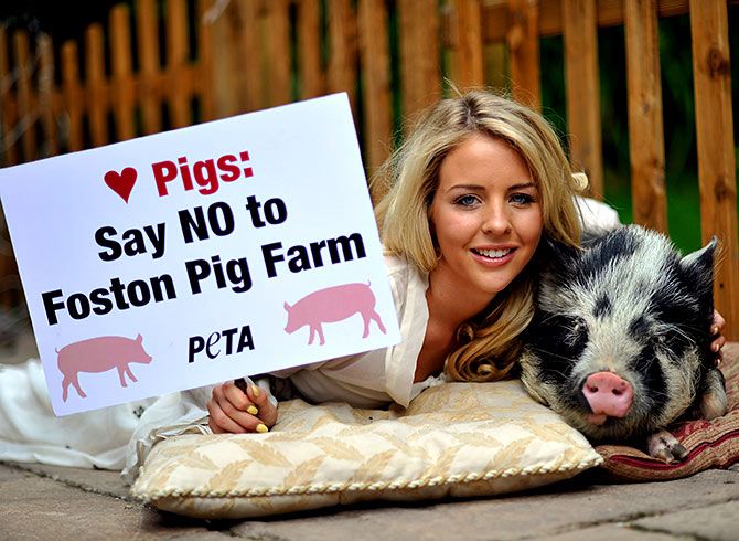 Lydia Bright with her pig