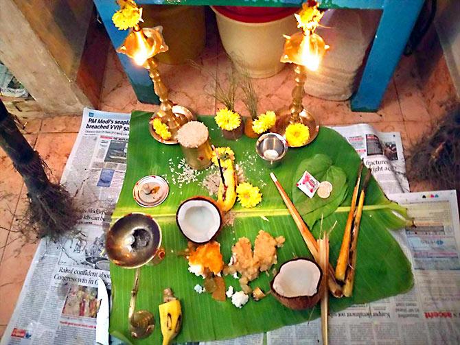 Pongal celebrations