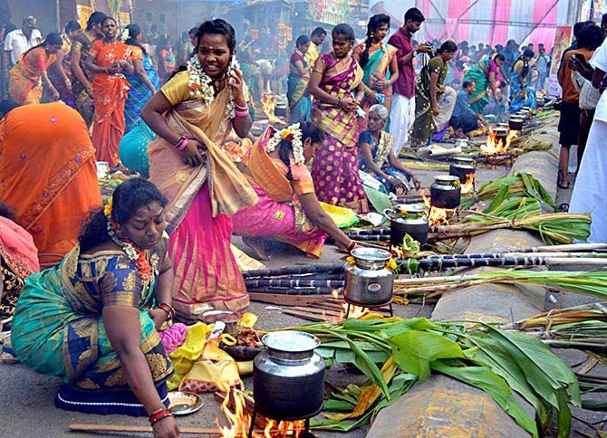 Residents of Mumbai's Dharavi celebrate Pongal 2019