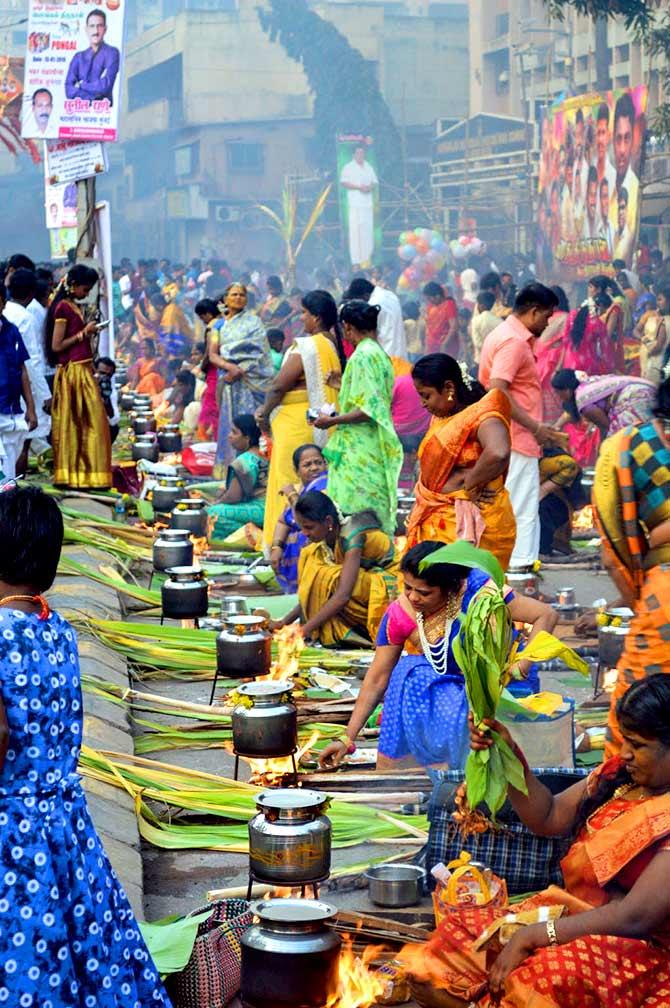 Residents of Mumbai's Dharavi celebrate Pongal 2019