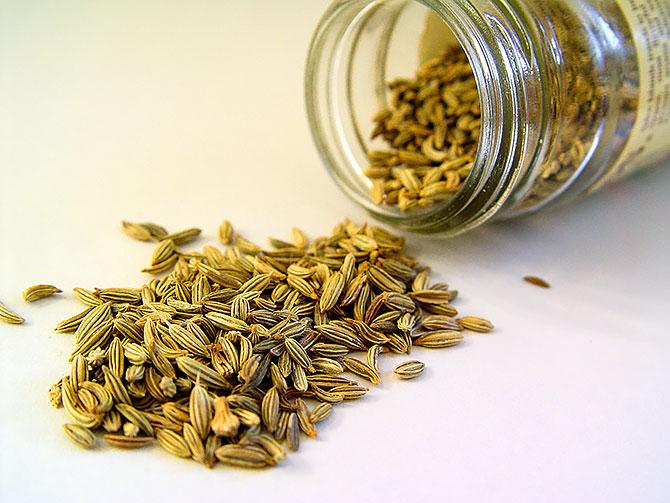 fennel seeds