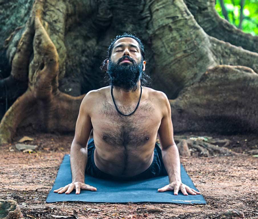 Bhujangasana