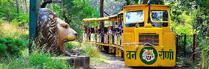 Sanjay Gandhi National Park