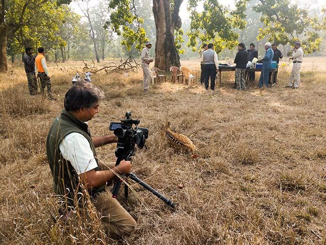 Dhruv Singh and Bandhavgarh