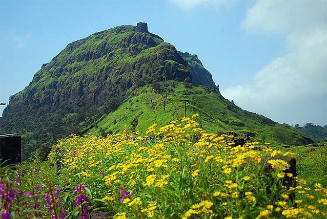 Rajgad fort