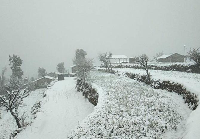 Shaama camp in Kumaon