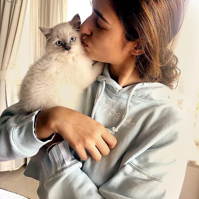 Have you met Disha Patani's pets? - Rediff.com Get Ahead