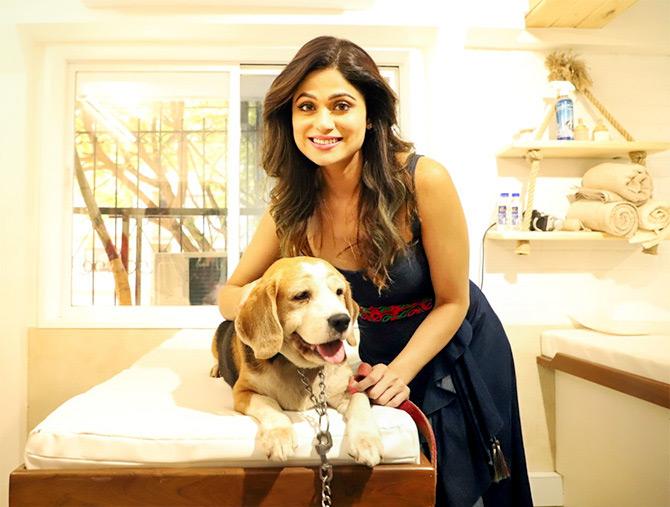 Shamita Shetty at Pups and Cuts, a pet spa in Mumbai