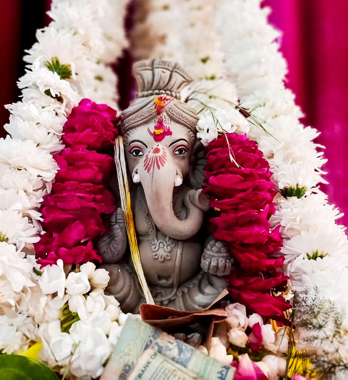 Readers share Ganesha photographs