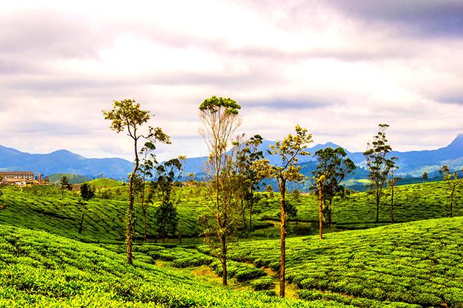 Valparai