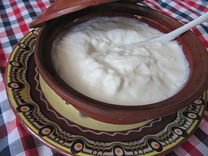 SEE: How to make dahi at home - Rediff.com