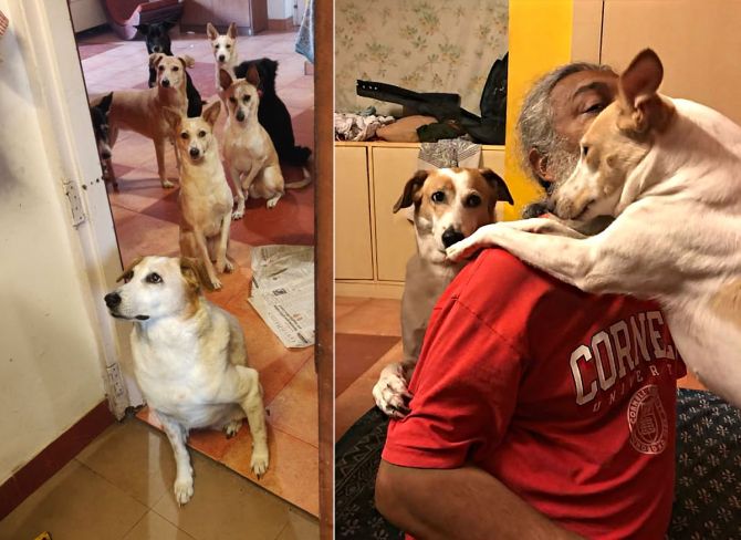 Rahul with his pets
