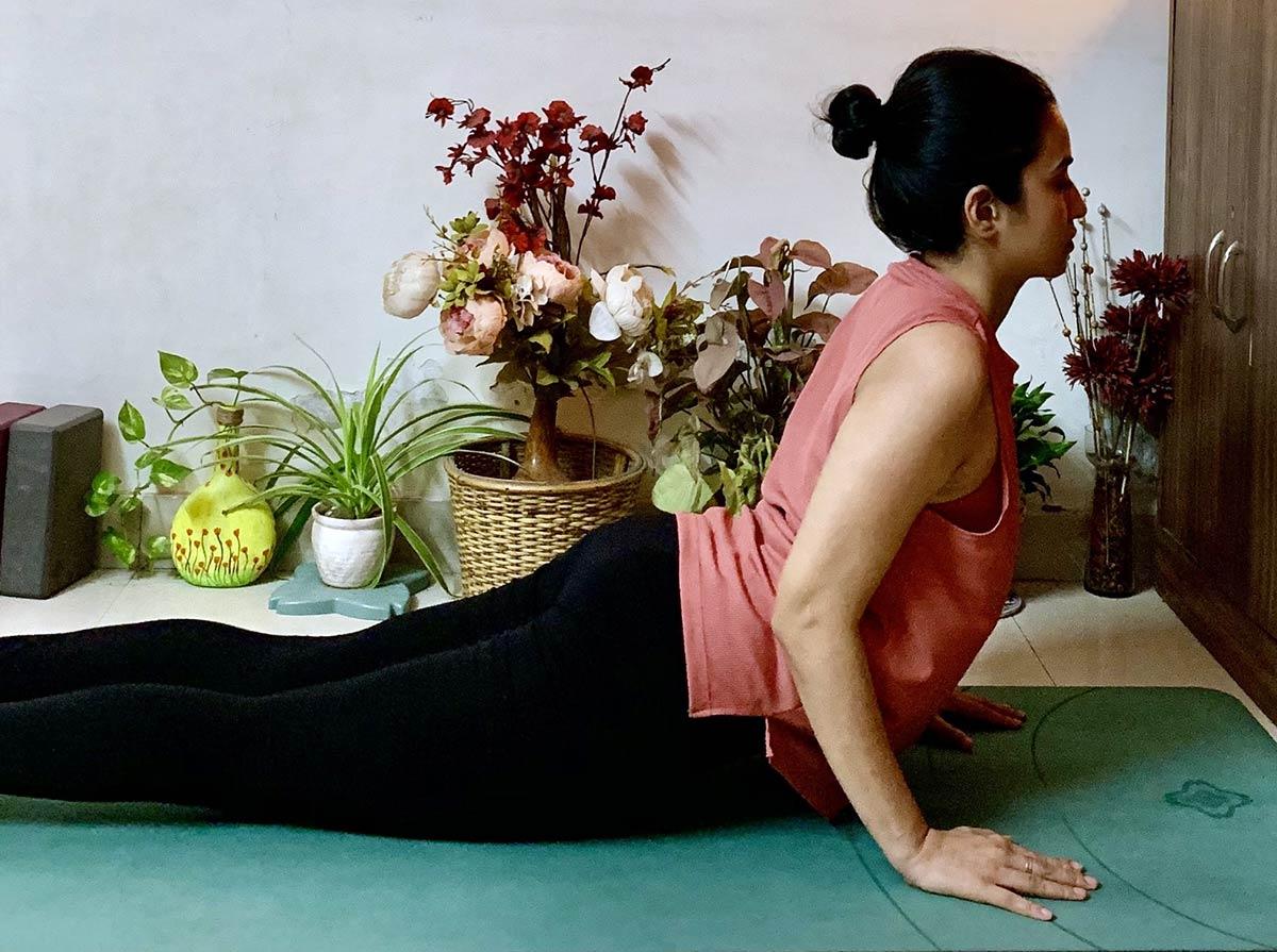 Bhujangasana