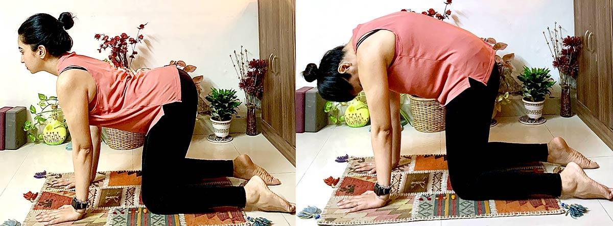 Manjariasana