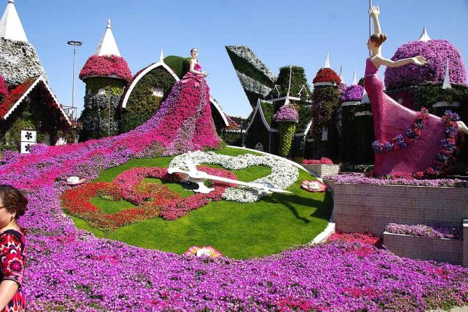 Miracle Garden, Dubai