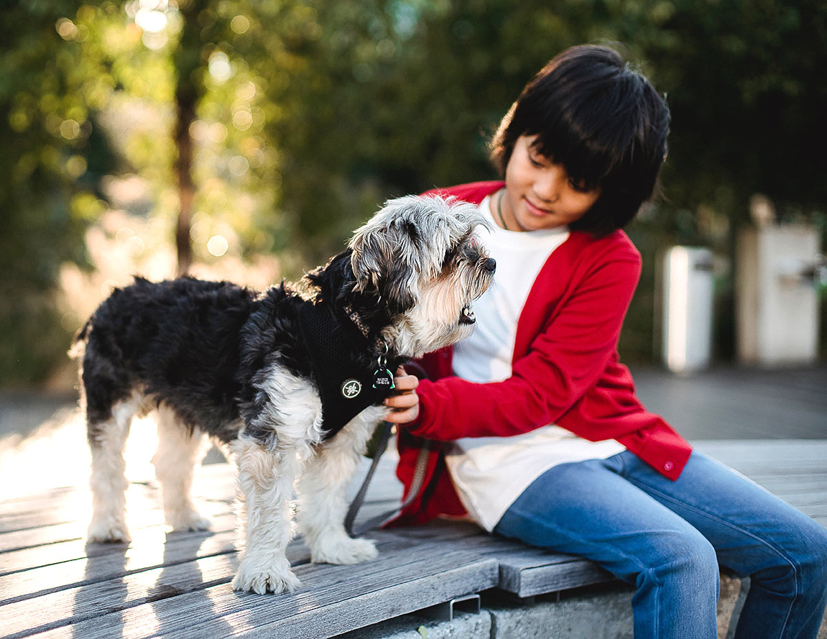 Kid with dog