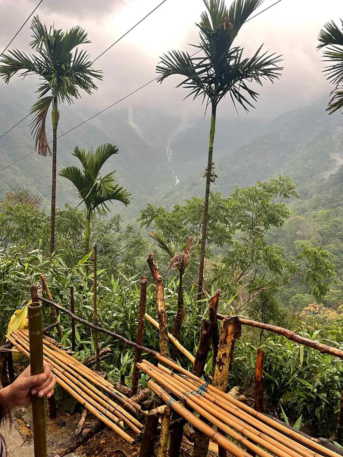 Nongriat's double decker root bridge. Photograph Courtesy Georgina Umdor