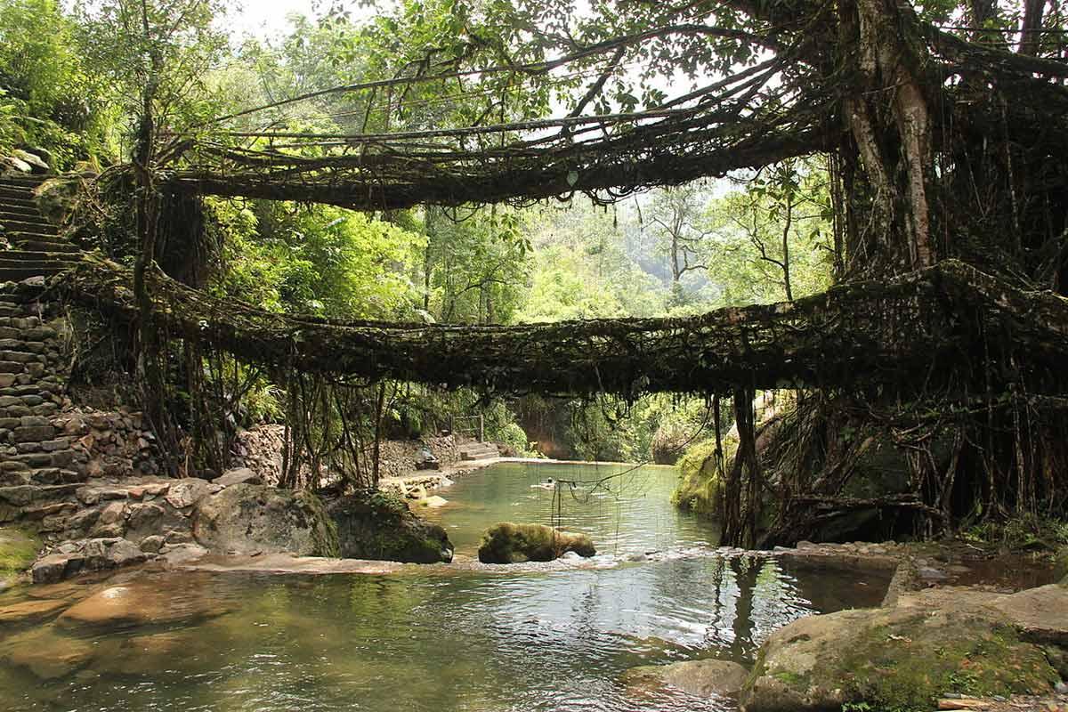 Nongriat's double decker root bridge. Photograph: Kind courtesy Wikimedia Commons