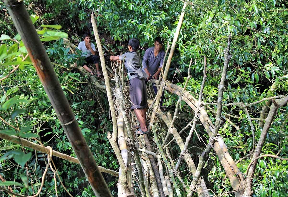 Reapiring a root bridge. Photograph: Kind courtesy Wikimedia Commons