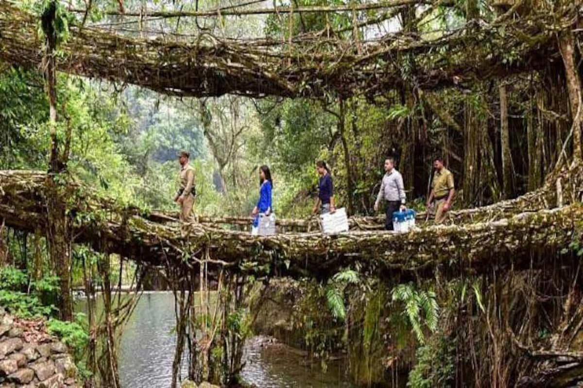 Nongriat's double decker root bridge. Photograph: PTI