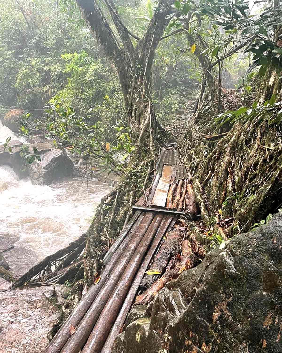 Nongriat's double decker root bridge. Photograph Courtesy Georgina Umdor