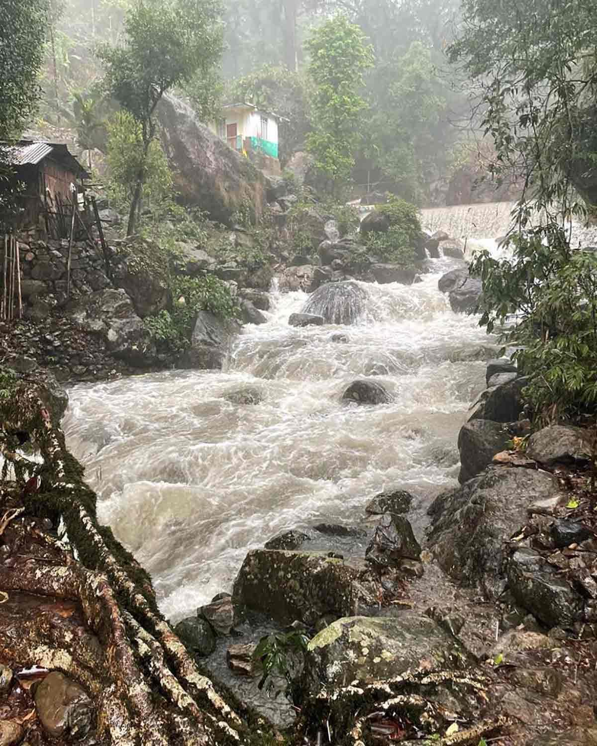 Nongriat's double decker root bridge. Photograph Courtesy Georgina Umdor