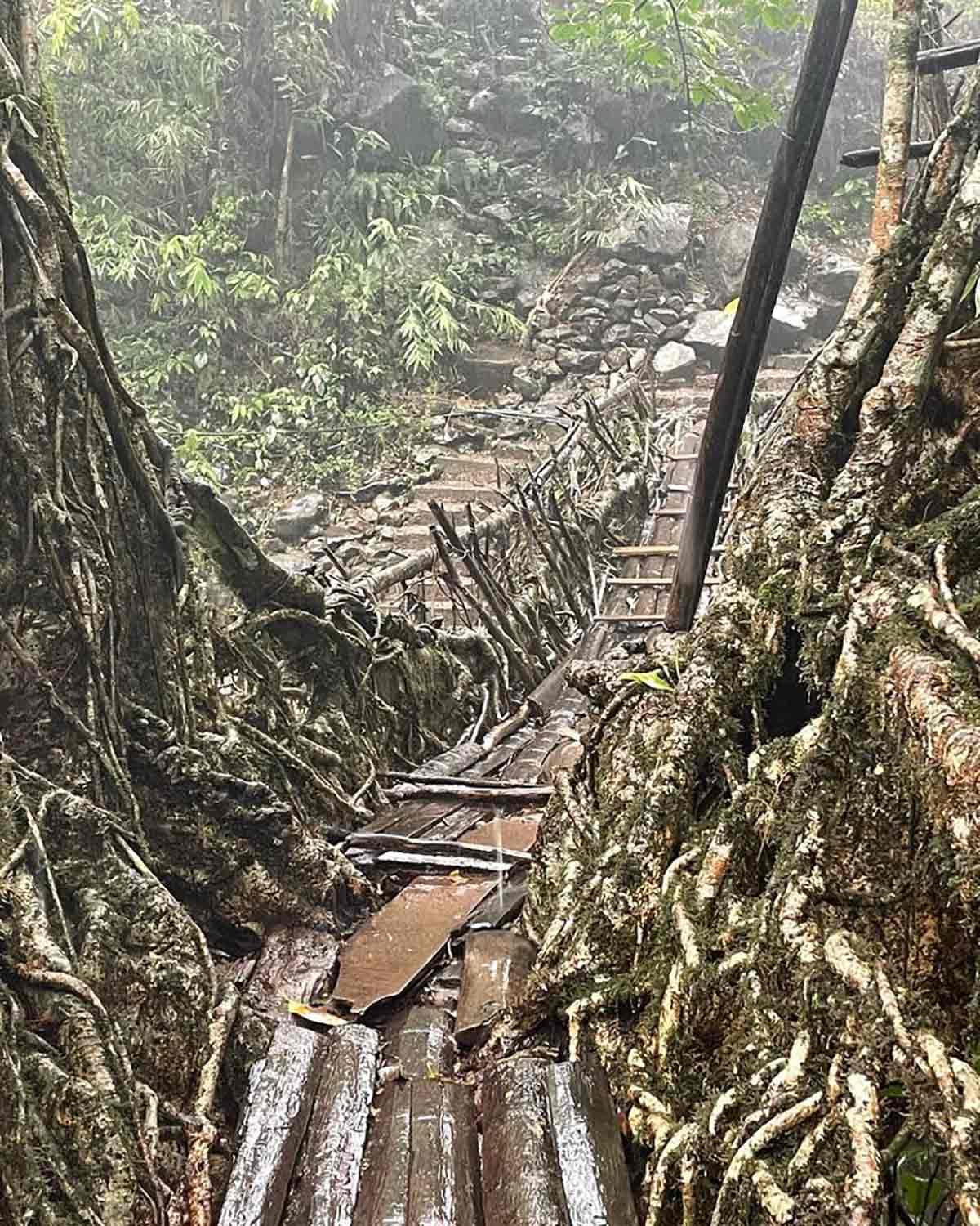 Nongriat's double decker root bridge. Photograph Courtesy Georgina Umdor