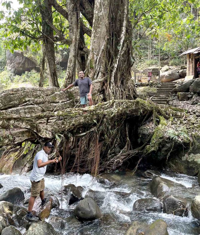 Meghalaya's living root bridges