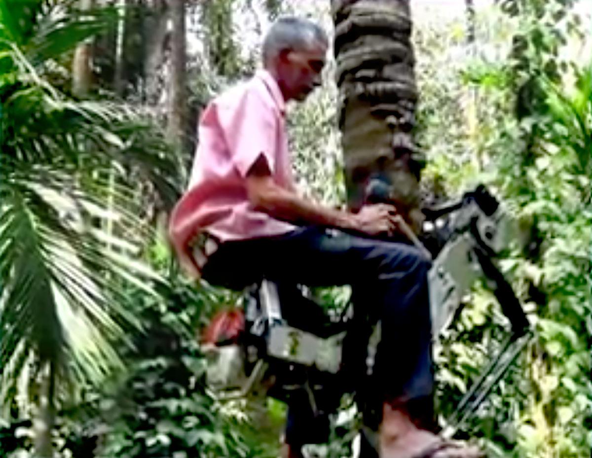 Bike rides on a coconut tree 