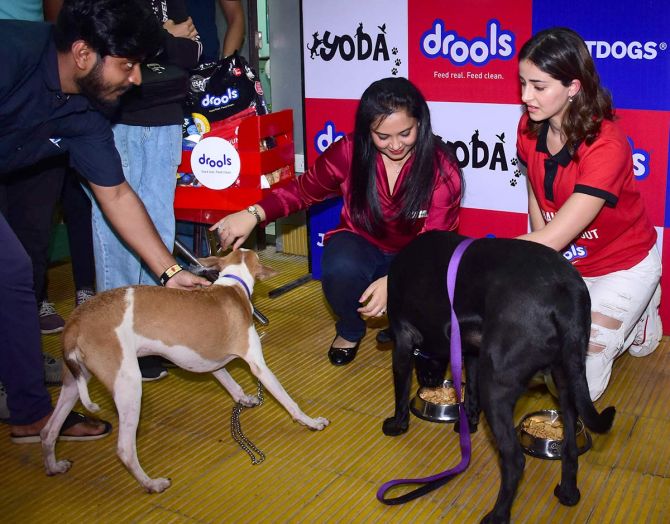 Ananya Pandey partners with Drools to save community animals