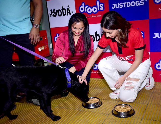 Ananya partners with Drools India to save community animals