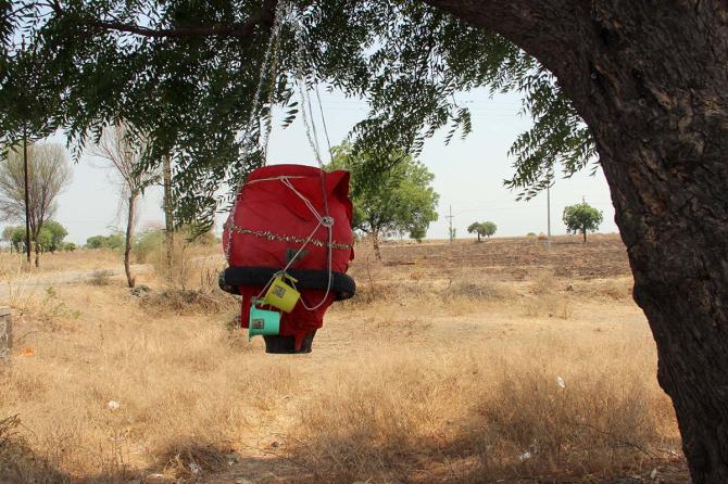 Summer pics by Uttam Ghosh