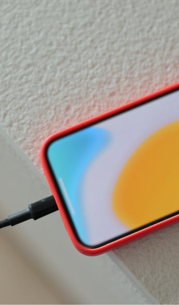 Charge Your Battery Correctly