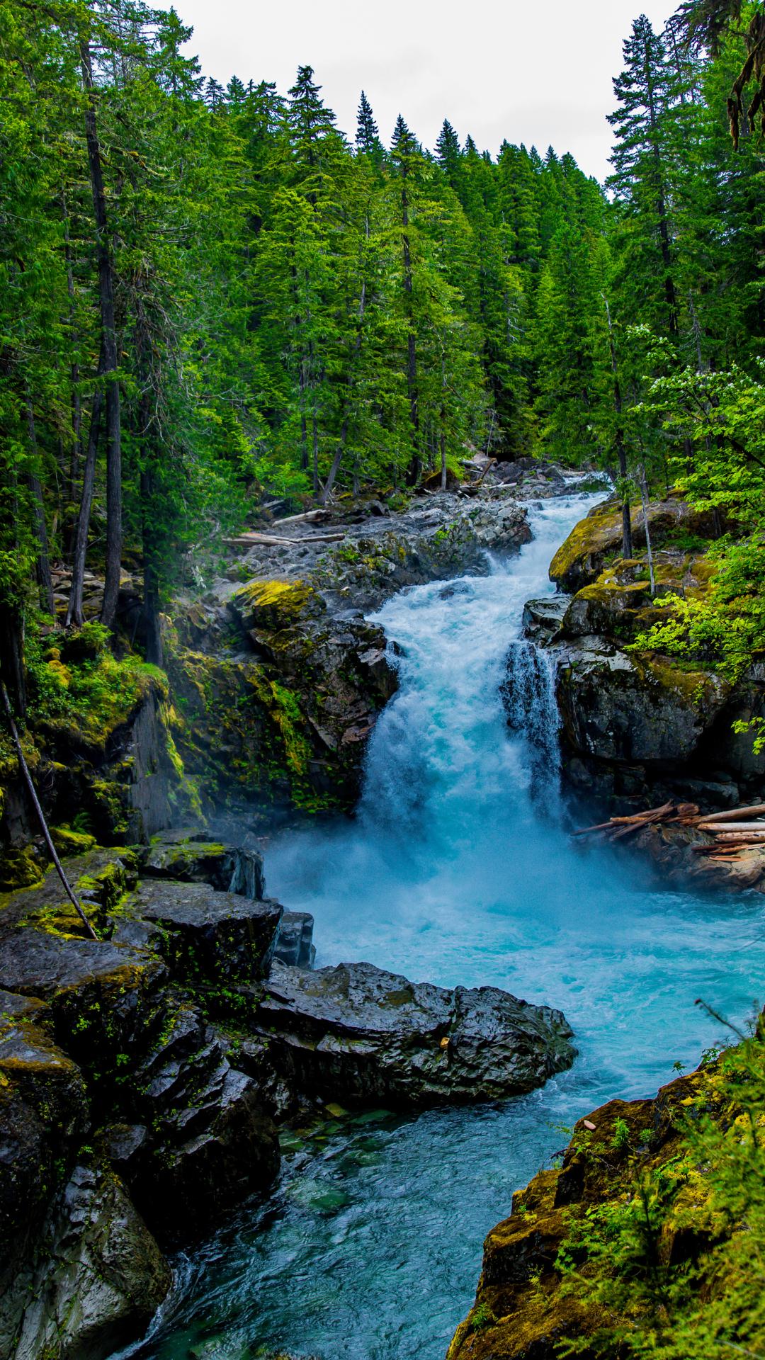Connect with Nature