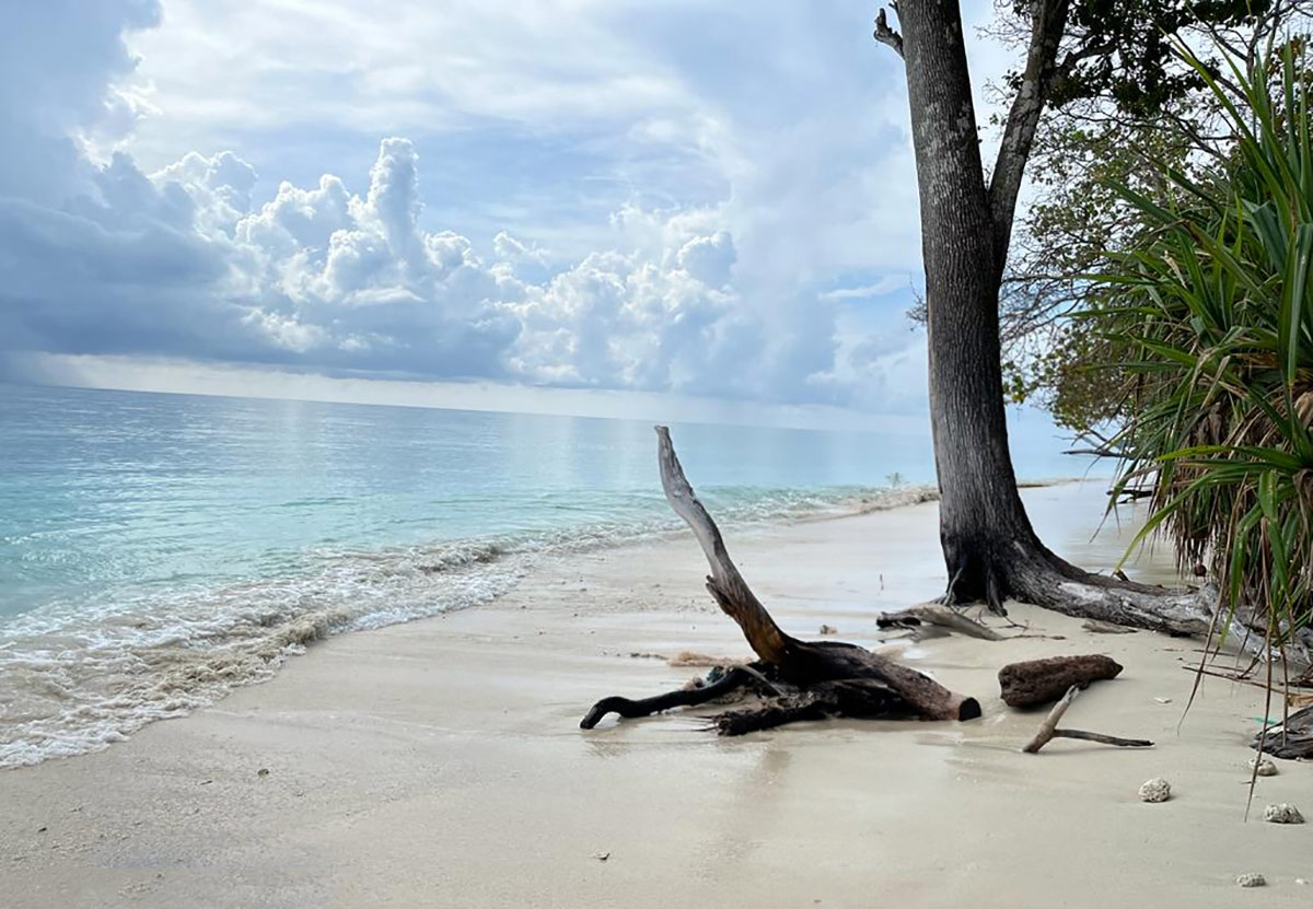 Forget Maldives, Visit India's Finest Beach - Rediff.com