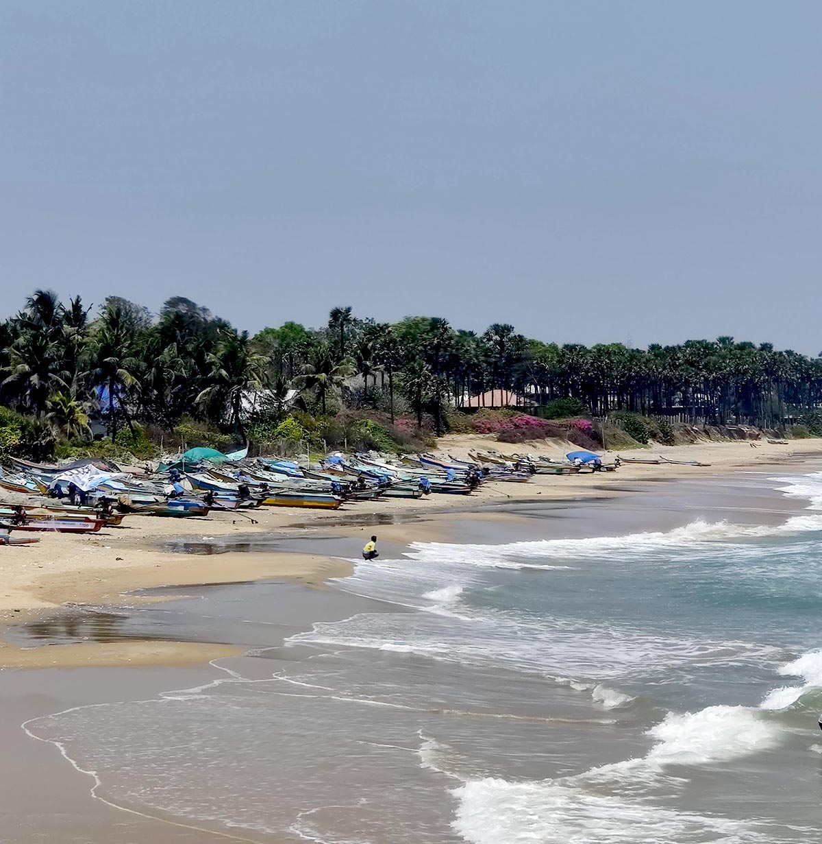 India's Stunning Beaches: Rock, Serenity, Varkala, Alibaug... - Rediff ...