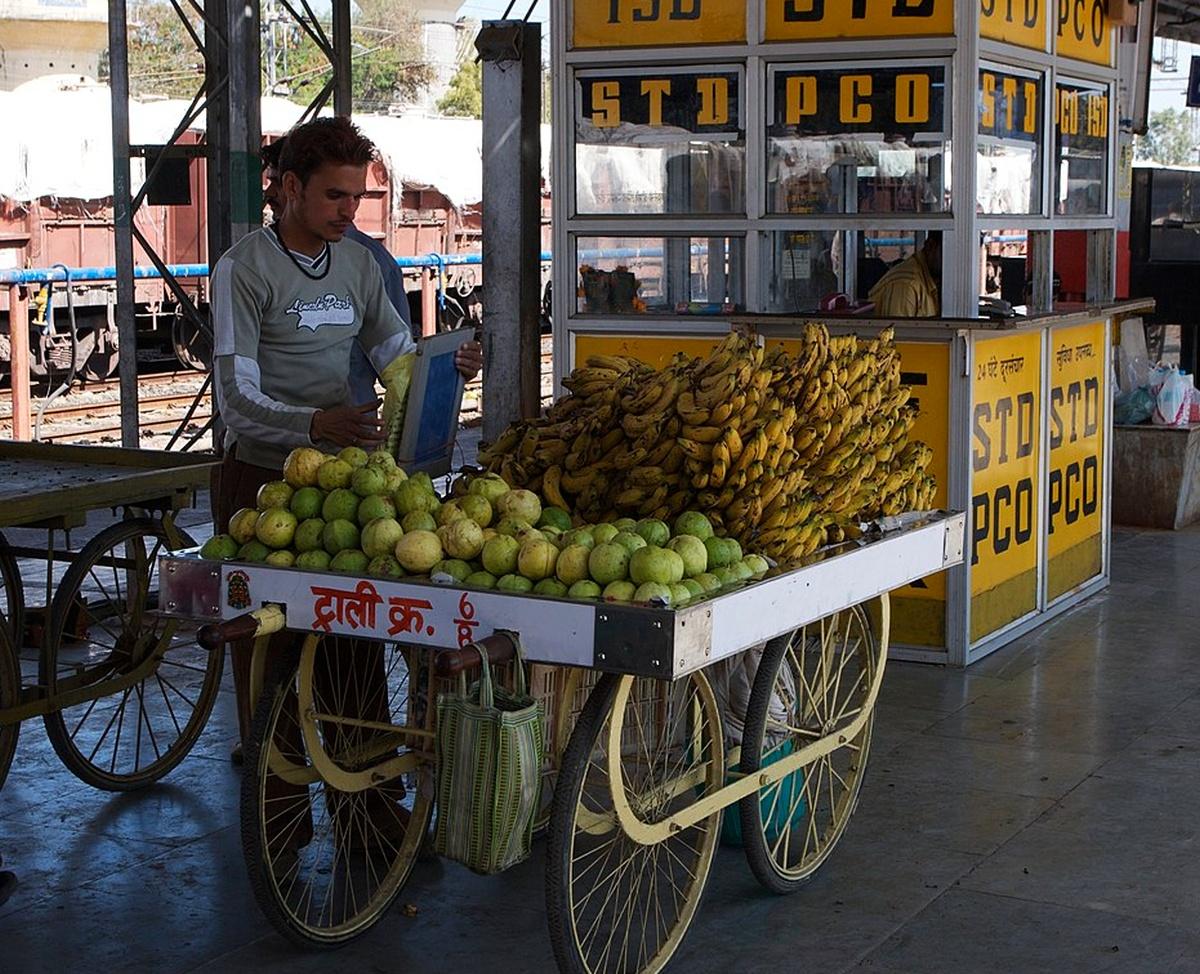 Fruit hawker at Bina-Etawa station