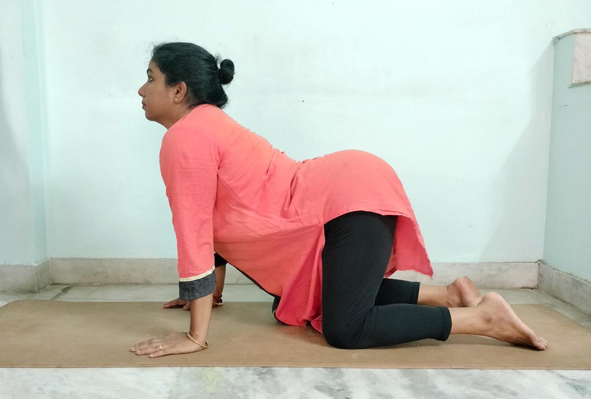 Bitilasana Marjaryasana