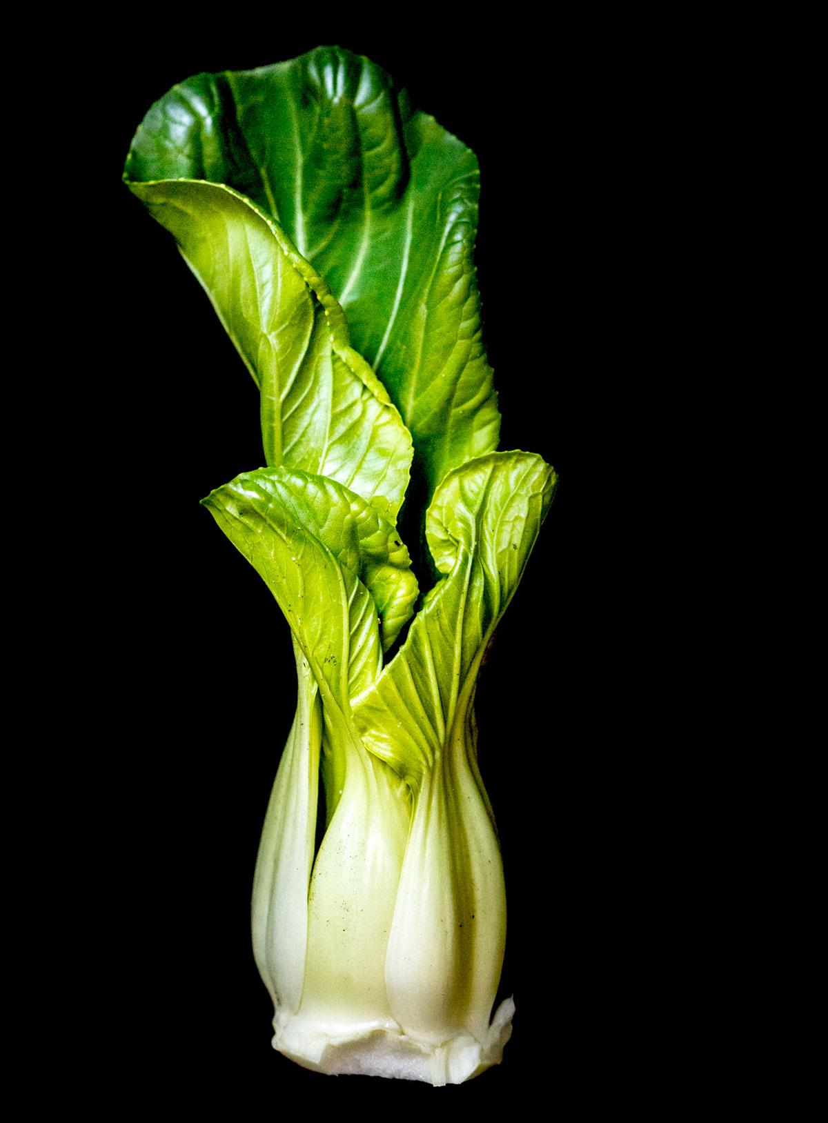 Bok Choy