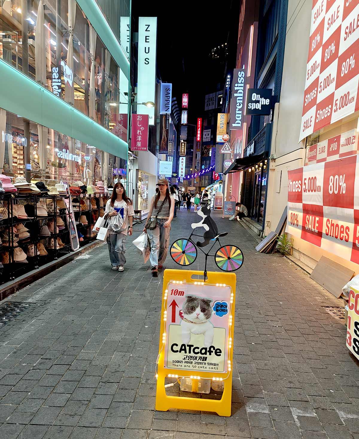 Myeongdong Street night market