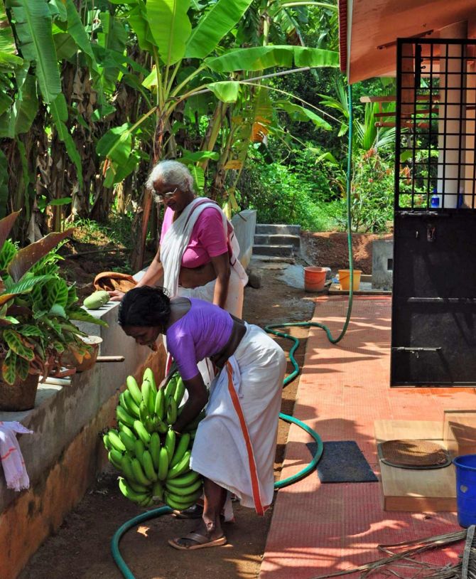 Gouri and Kumari and a lovely bunch of bananas