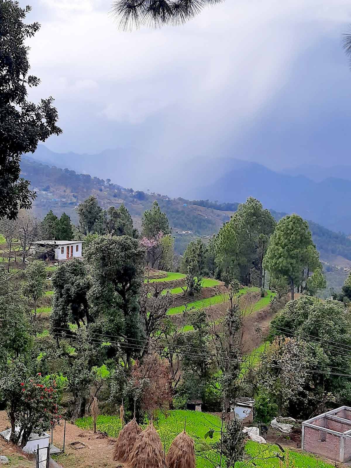 Kausani, Uttarakhand