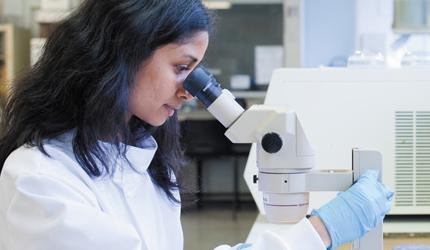 South Asia Postgraduate Excellence Award 2025 by the University of Nottingham